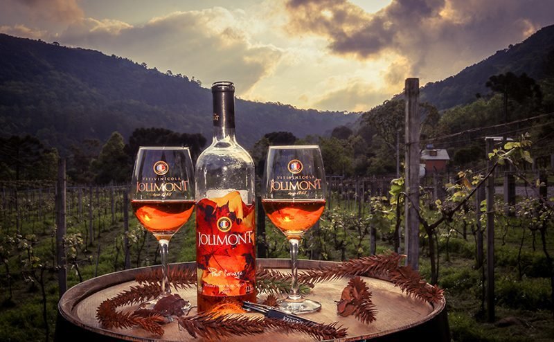 Tour do Vinho com Jolimont, Queijos e Degustações!