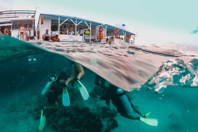 Parrachos de Maracajaú: Catamarã + Snorkel em Águas Cristalinas!