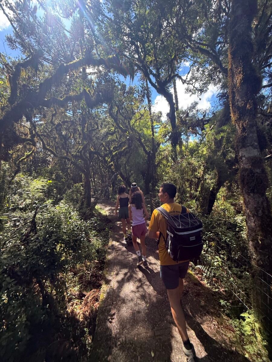 Cânion Itaimbezinho: trilhas incríveis nos Aparados da Serra!